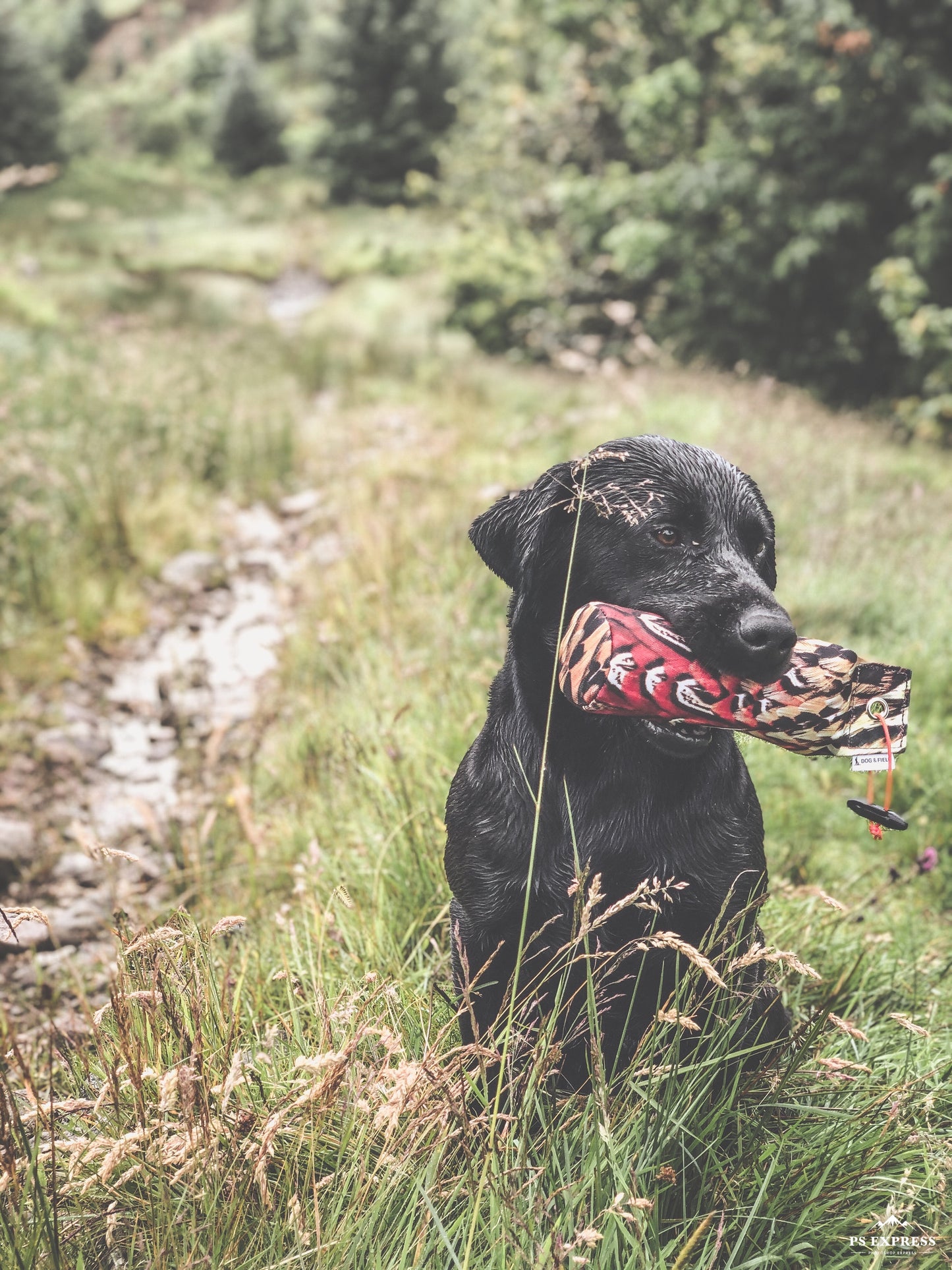 Dog & Field - The Original Clone®️ - Dummy fasan, 500gr