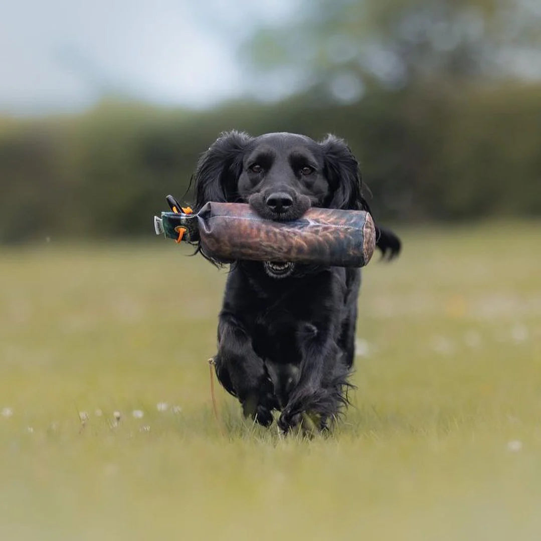 Dog & Field - The Original Clone®️ - Dummy gräsand, 500gr