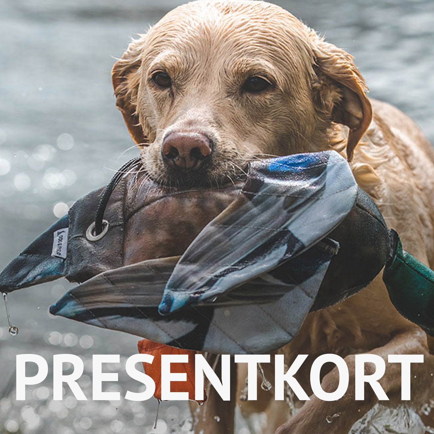 Presentkort field & trial